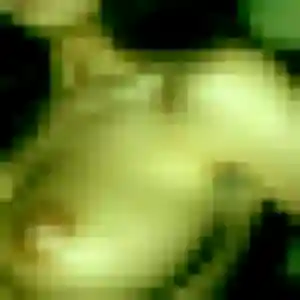 Profil de Zephyrine à Bouxières-aux-Dames (23 ans) - plan cul anonyme