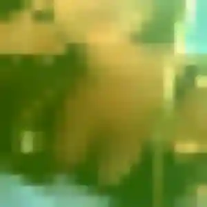 Photo de Viviane à Bras-Panon (41 ans) - plan cul discret