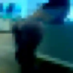 Contacte Brunehilde, 35 ans à Bréauté en t'inscrivant
