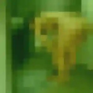 Brigitte (24 ans) à Bréhan cherche une rencontre rapidement