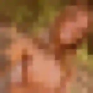 Eva (45 ans) à Brocas propose une rencontre rapidement