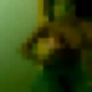 Djamila (38 ans) à Bruay-sur-l'Escaut cherche un plan cul maintenant