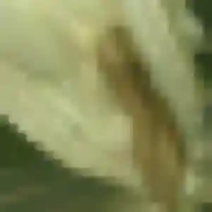 Daniela, femme de 36 ans veut plan cul à Cadenet