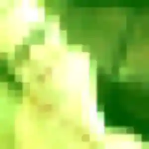 Photo de Sonia à Cadours (30 ans) - plan cul gratuit