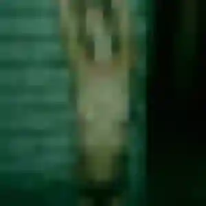 Photo privée de Capucine, 39 ans à Cagnac-les-Mines - rencontre coquine