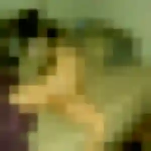 Photo de Louise à Callac (34 ans) - plan cul discret