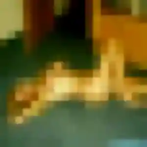 Photo exclusive de Karine, 22 ans à Cambo-les-Bains - rencontre coquine