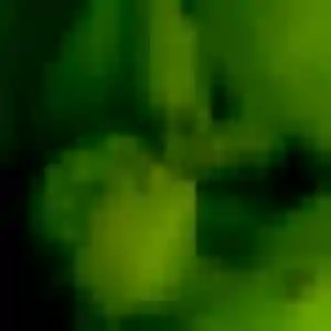 Photo privée de Marie-Helene, 44 ans à Capesterre-Belle-Eau - rencontre sans lendemain