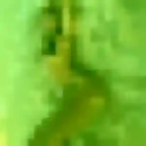 Brune (34 ans) à Carantilly cherche un plan cul ce soir