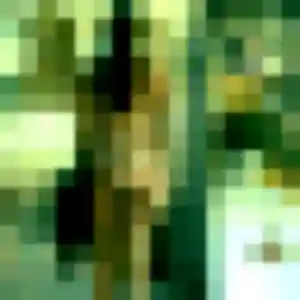 Photo perso de Leana, 35 ans à Carmaux - plan discret