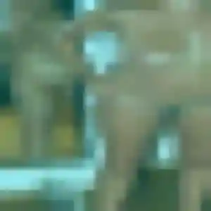 Romina, 31 ans, en ligne à Cartelègue pour une rencontre coquine