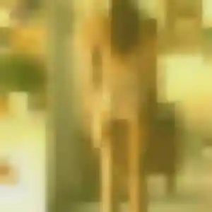 Sexy Lea, 34 ans à Cassagnes-Bégonhès - découvrir son profil