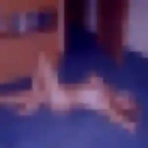 Juliette, 27 ans, dispo pour plan cul à Castelsarrasin