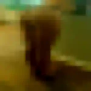 Photo exclusive de Natasha, 35 ans à Cavignac - rencontre coquine