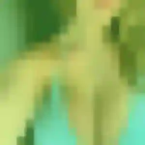 Profil de Olivia à Cergy (24 ans) - plan cul gratuit