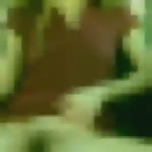 Photo privée de Regine, 39 ans à Cerisiers - rencontre coquine