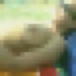 Daniela (35 ans) à Chalandray propose un plan cul rapidement