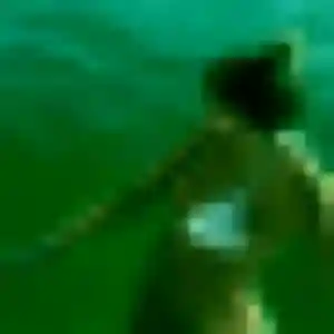 Sexy Romane, 26 ans à Champdôtre - la contacter