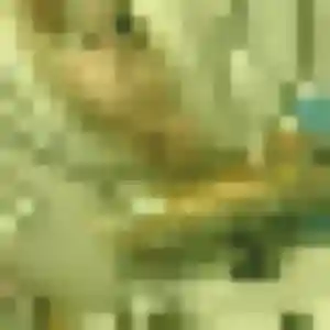 Germaine, 26 ans, dispo pour plan cul à Champniers