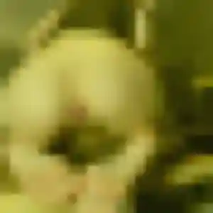 Photo exclusive de Valentine, 41 ans à Châtenoy-le-Royal - rencontre coquine