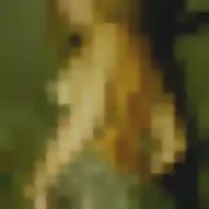 Photo exclusive de Zara, 23 ans à Chatte - rencontre sans lendemain