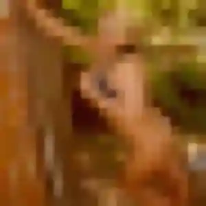 Sexy Anais, 44 ans à Chazey-Bons - la contacter