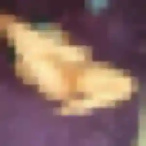 Jolie Odette, 40 ans à Chemilly-sur-Yonne - la contacter