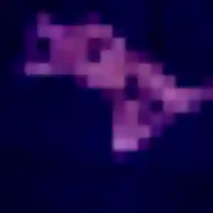 plan cul à Cheptainville : photo de Priscilla, 25 ans - sans engagement