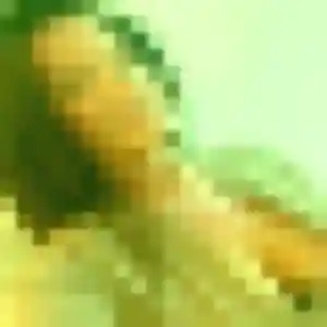 Photo sexy de Lisa, 26 ans à Chonas-l'Amballan - rencontre coquine