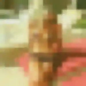 Fiona, 28 ans, en ligne à Chooz pour une rencontre coquine