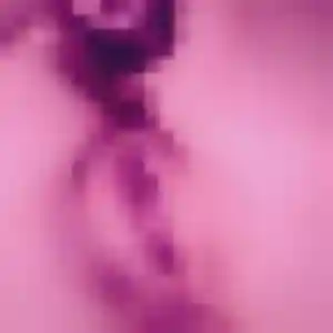 Blanche (35 ans) à Civray propose une rencontre rapidement