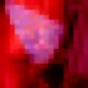 Photo de Estelle à Coaraze (23 ans) - plan cul anonyme