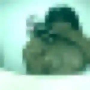 plan cul à Coggia : photo de Morgane, 35 ans - sans engagement