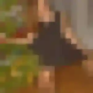 Charmante Johanna, 31 ans à Colleville - la contacter