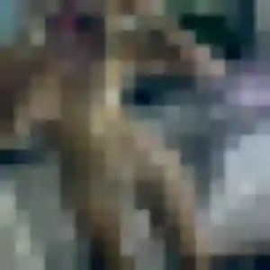 Wendy (36 ans) à Collioure cherche une rencontre rapidement