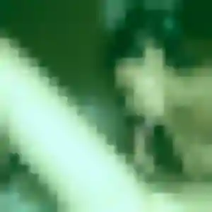 Photo de Estee à Confolens (41 ans) - plan cul gratuit