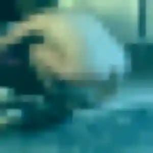 Photo perso de Priscilla, 43 ans à Corgnac-sur-l'Isle - plan discret