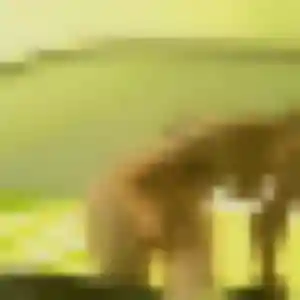 plan cul à Cormery : profil de Gilberte, 33 ans - inscription gratuite
