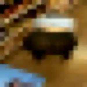 Blanche, femme de 35 ans cherche plan cul à Cornier
