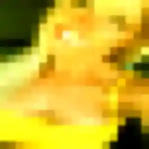Photo exclusive de Christelle, 39 ans à Cornil - rencontre sans lendemain