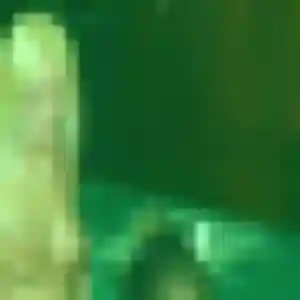 Profil de Gabrielle à Cornillon-Confoux (23 ans) - plan cul anonyme