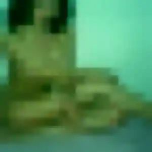 Contacte Priscilla, 32 ans à Coucy-lès-Eppes en t'inscrivant