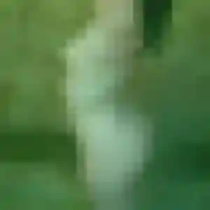 Photo privée de Meriem, 23 ans à Cours-les-Barres - plan discret