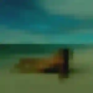 Photo de Celine à Courtisols (35 ans) - plan cul gratuit