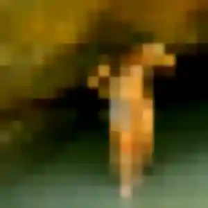 Jolie Nadia, 36 ans à Coussac-Bonneval - voir sa photo