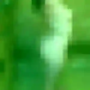 Photo privée de Siham, 42 ans à Crest - rencontre coquine