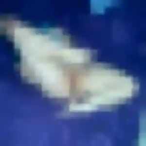 Photo de Emilie à Cugnaux (44 ans) - plan cul gratuit