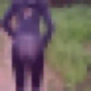 Louise (39 ans) à Culhat propose un plan cul ce soir