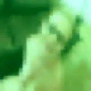 Jolie Berenice, 39 ans à Cuy - la contacter