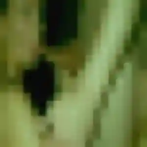 Photo de Candice à Dangolsheim (34 ans) - plan cul anonyme